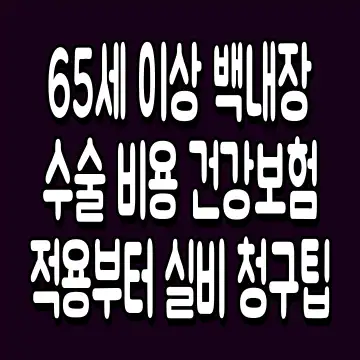 65세 이상 백내장 수술 비용 건강보험 적용부터 실비 청구팁