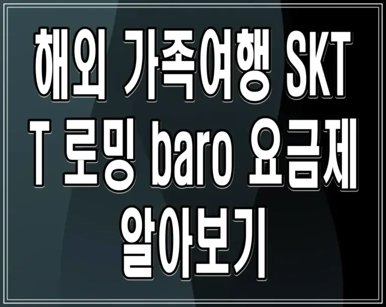 해외 가족여행 SKT T 로밍 baro 요금제 알아보기