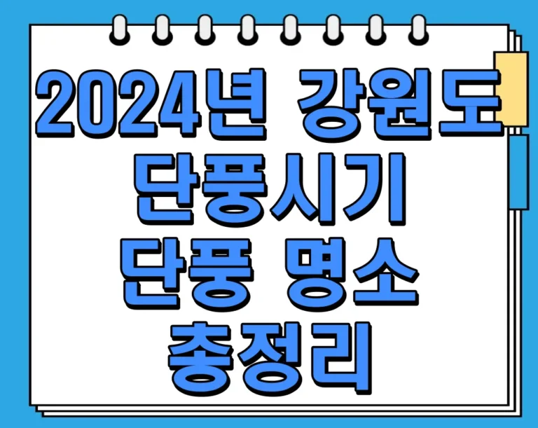 2024년 강원도 단풍시기 및 단풍 명소 총정리