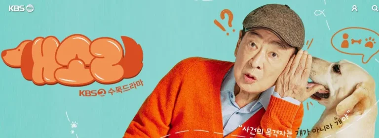 드라마 개소리 완벽 가이드: 등장인물 작가 줄거리 재방송까지