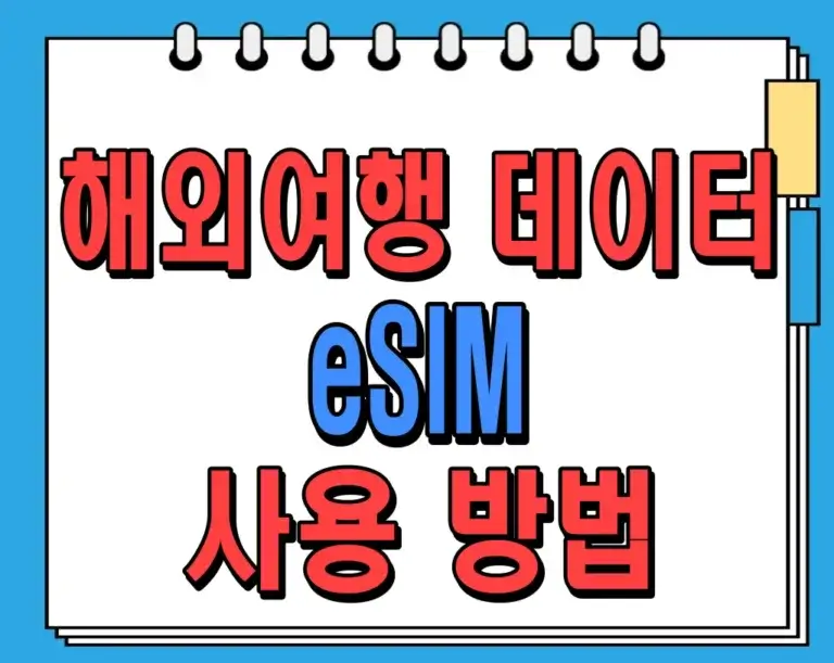 해외여행 데이터 사용 방법 이심(eSIM)으로 저렴하게 사용
