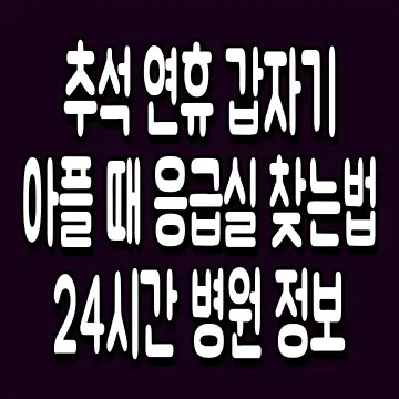 추석 연휴 갑자기 아플 때 응급실 찾는법 24시간 병원 정보