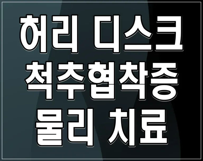 허리 디스크 척추협착증 물리 치료