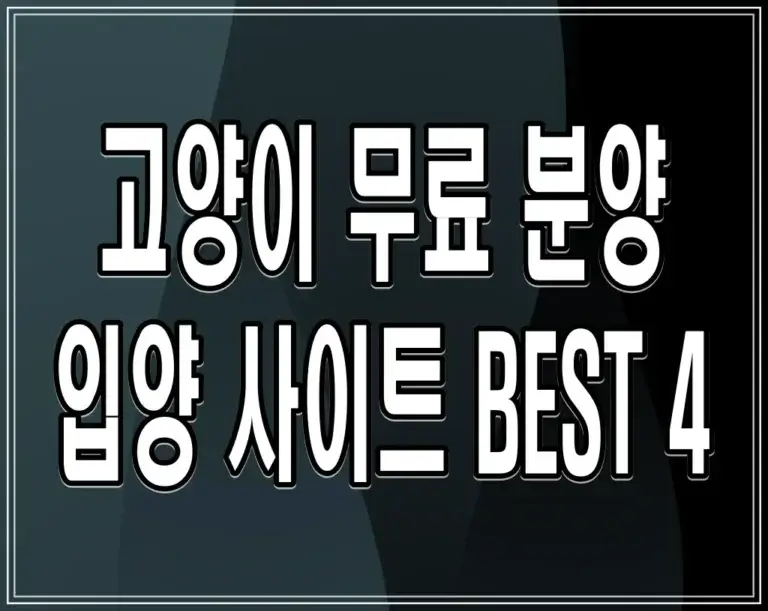 고양이 무료 분양 입양 사이트 BEST 4