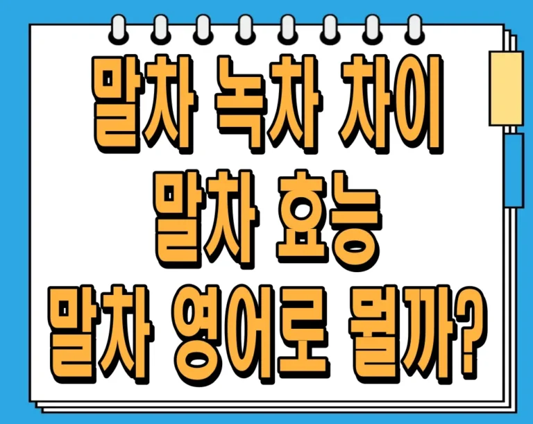 말차 녹차 차이, 말차 효능, 말차 영어로 뭘까?