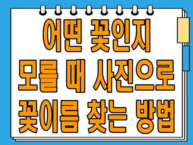 어떤 꽃인지 모를 때 사진으로 꽃이름 찾는 방법
