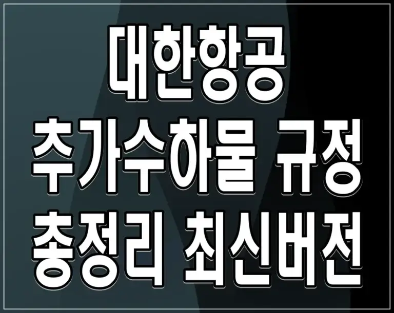 대한항공 추가수하물 규정 총정리 최신버전
