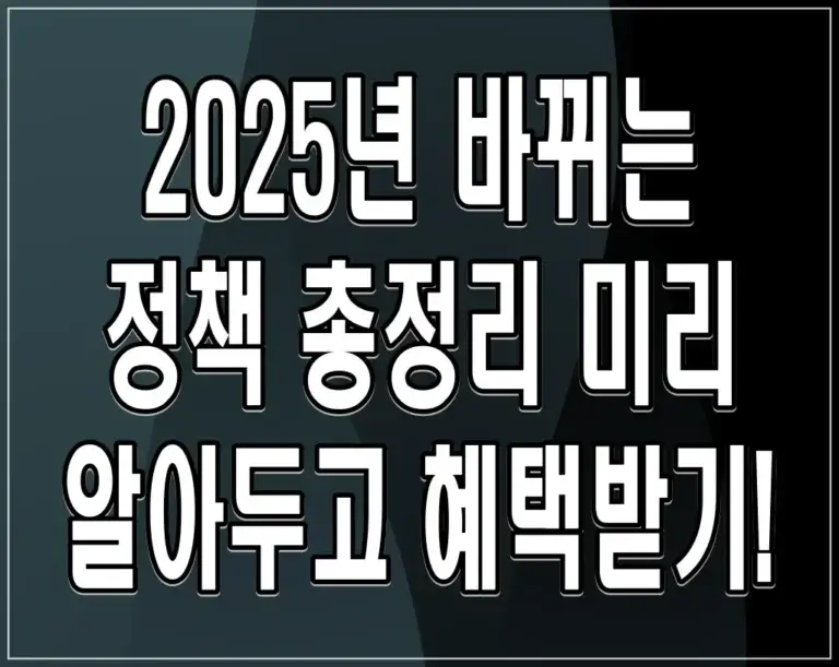 2025년 바뀌는 정책 총정리 미리 알아두고 혜택받기!
