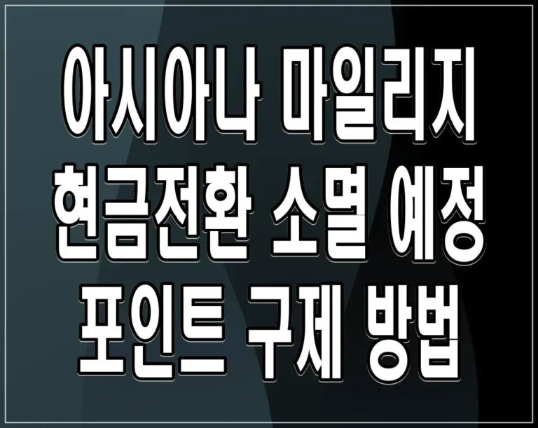 아시아나 마일리지 현금전환 소멸 예정 포인트 구제 방법