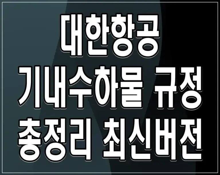 대한항공 기내수하물 규정 총정리 최신버전