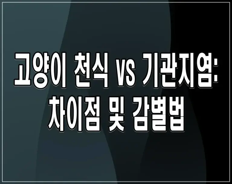 고양이 천식 vs 기관지염: 차이점 및 감별법
