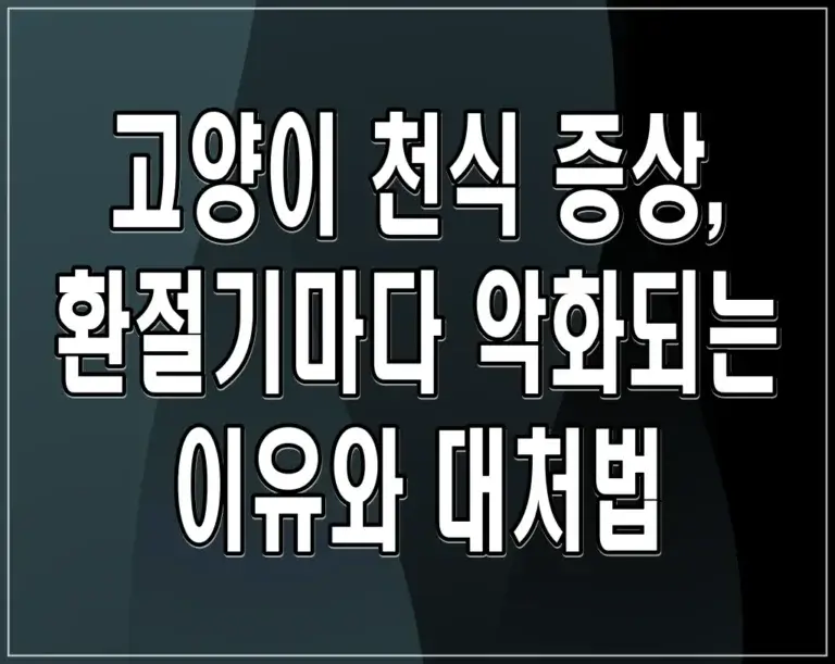 고양이 천식 증상, 환절기마다 악화되는 이유와 대처법