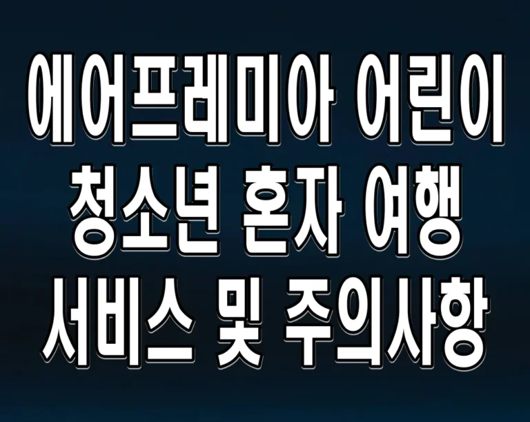 에어프레미아 어린이 청소년 혼자 여행 서비스 및 주의사항