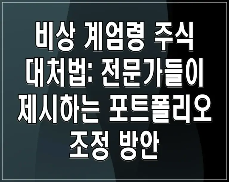 비상 계엄령 주식 대처법: 전문가들이 제시하는 포트폴리오 조정 방안
