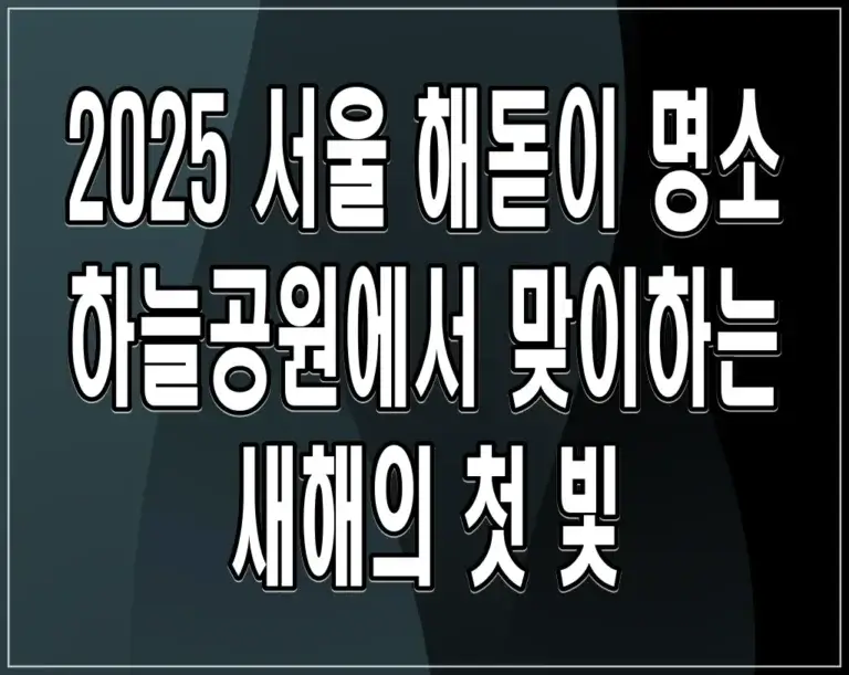 2025 서울 해돋이 명소 하늘공원에서 맞이하는 새해의 첫 빛
