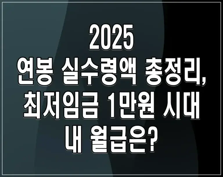 2025 연봉 실수령액 총정리, 최저임금 1만원 시대 내 월급은?