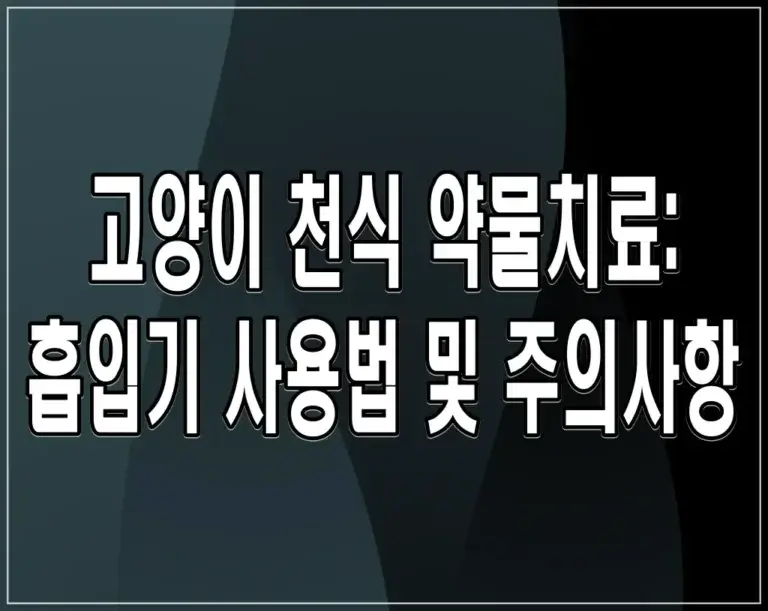 고양이 천식 약물치료: 흡입기 사용법 및 주의사항