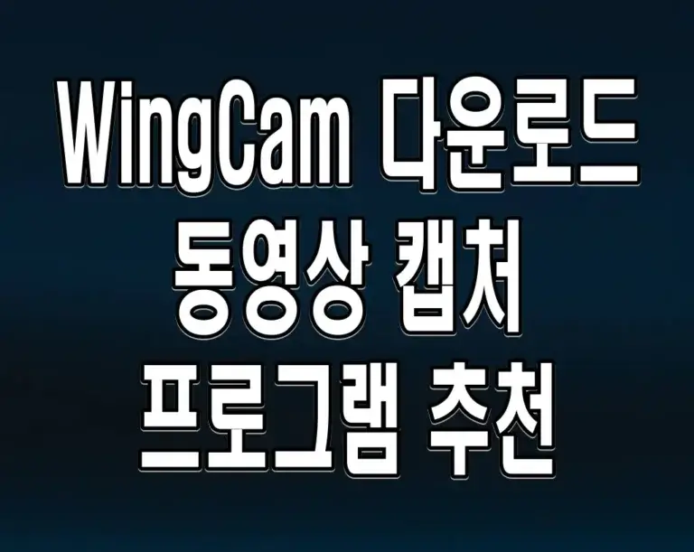 WingCam 다운로드 동영상 캡처 프로그램 추천