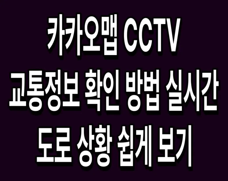 카카오맵 CCTV 교통정보 확인 방법 실시간 도로 상황 쉽게 보기