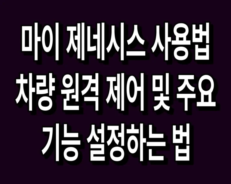 마이 제네시스 사용법 차량 원격 제어 및 주요 기능 설정하는 법