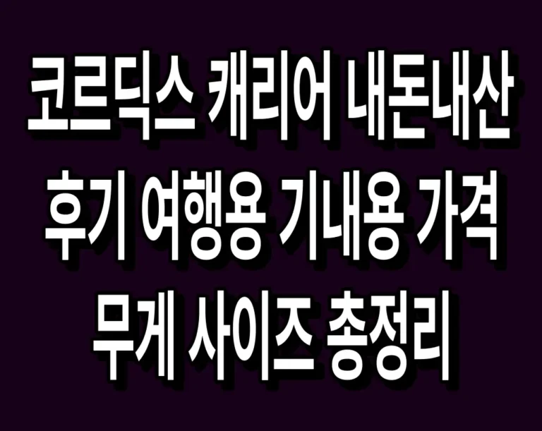 코르딕스 캐리어 내돈내산 후기 여행용 기내용 가격 무게 사이즈 총정리