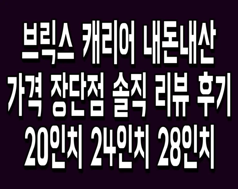 브릭스 캐리어 내돈내산 가격 장단점 솔직 리뷰 후기 20인치 24인치 28인치