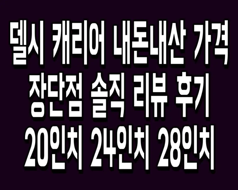 델시 캐리어 내돈내산 가격 장단점 솔직 리뷰 후기 20인치 24인치 28인치