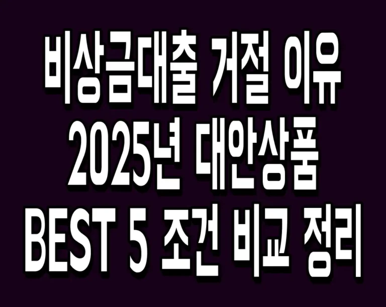 비상금대출 거절 이유 2025년 대안상품 BEST 5 조건 비교 정리