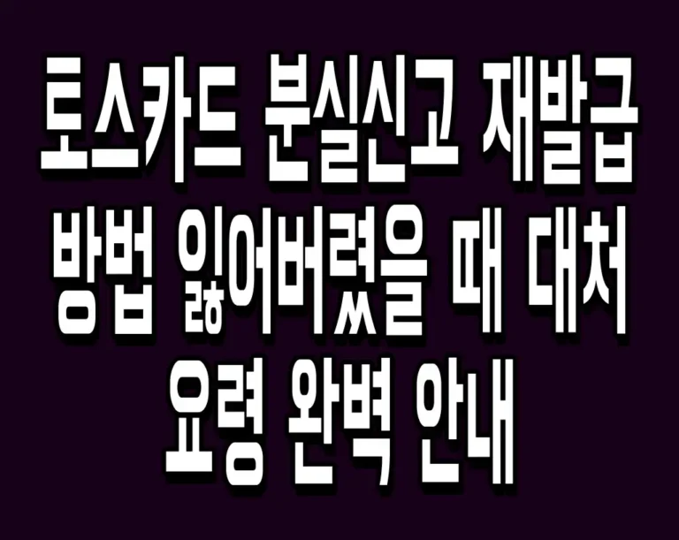 토스카드 분실신고 재발급 방법 잃어버렸을 때 대처 요령 완벽 안내