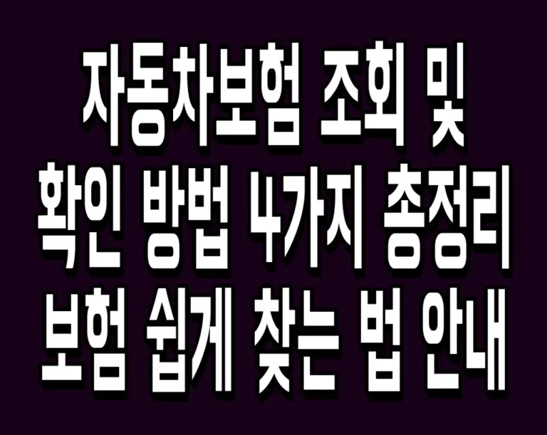 자동차보험 조회 및 확인 방법 4가지 총정리 내 보험 쉽게 찾는 법 안내