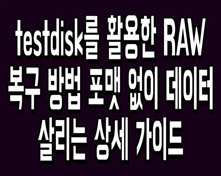testdisk를 활용한 RAW 복구 방법 포맷 없이 데이터 살리는 상세 가이드