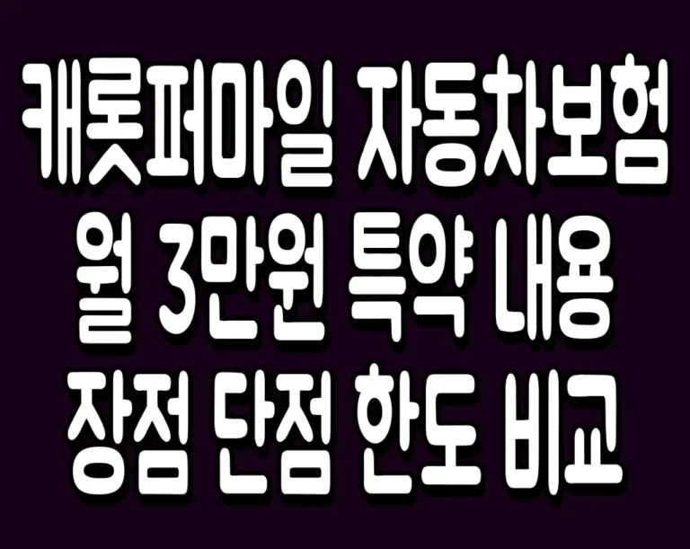 캐롯퍼마일 자동차보험 월 3만원 특약 내용 장점 단점 한도 비교