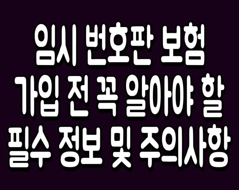 임시 번호판 보험 가입 전 꼭 알아야 할 필수 정보 및 주의사항