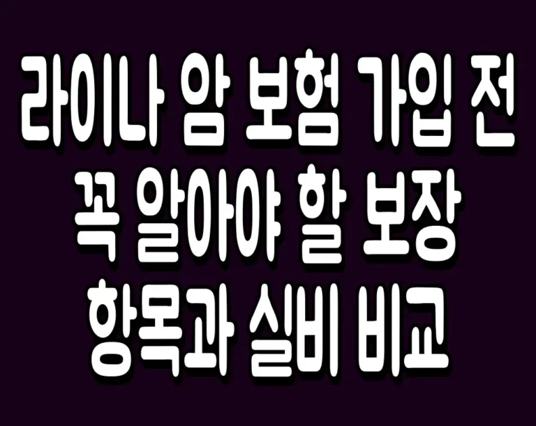 라이나 암 보험 가입 전 꼭 알아야 할 보장 항목과 실비 비교
