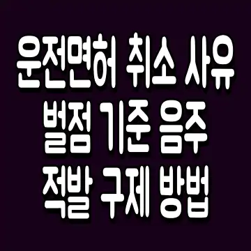 운전면허 취소 사유 벌점 기준 음주 적발 구제 방법
