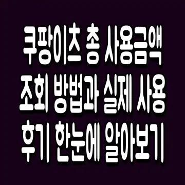 쿠팡이츠 총 사용금액 조회 방법과 실제 사용후기 한눈에 알아보기