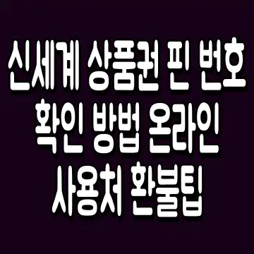신세계 상품권 핀 번호 확인 방법 온라인 사용처 환불팁