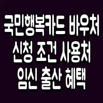 국민행복카드 바우처 신청 조건 사용처 임신 출산 혜택