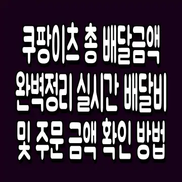 쿠팡이츠 총 배달금액 완벽정리 실시간 배달비 및 주문 금액 확인 방법