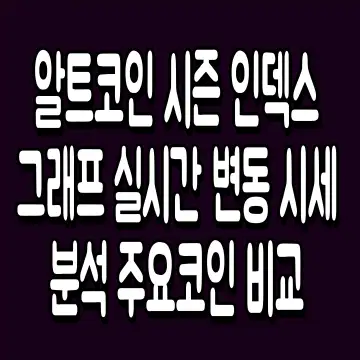 알트코인 시즌 인덱스 그래프 실시간 변동 시세 분석 주요코인 비교