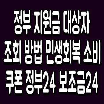정부 지원금 대상자 조회 방법 민생회복 소비쿠폰 정부24 보조금24