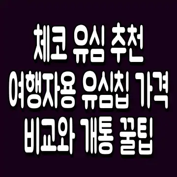 체코 유심 추천 여행자용 유심칩 가격 비교와 개통 꿀팁