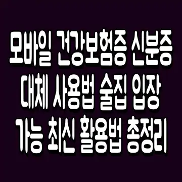 모바일 건강보험증 신분증 대체 사용법 술집 입장 가능 최신 활용법 총정리