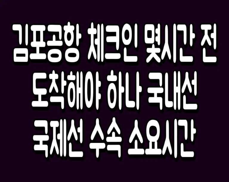 김포공항 체크인 몇시간 전 도착해야 하나 국내선 국제선 수속 소요시간