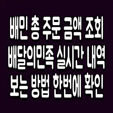 배민 총 주문 금액 조회 배달의민족 실시간 내역 보는 방법 한번에 확인