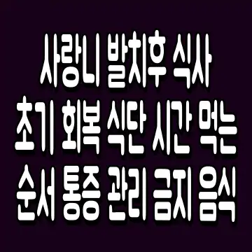 사랑니 발치후 식사 초기 회복 식단 시간 먹는 순서 통증 관리 금지 음식