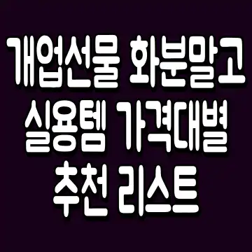 개업선물 화분말고 실용템 가격대별 추천 리스트