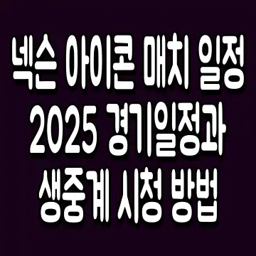넥슨 아이콘 매치 일정 2025 경기일정과 생중계 시청 방법
