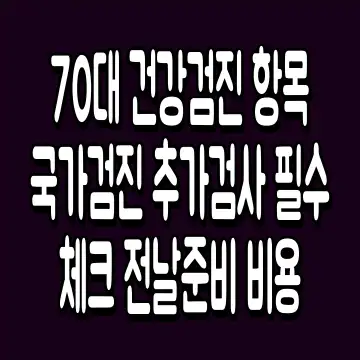 70대 건강검진 항목 국가검진 추가검사 필수 체크 전날준비 비용