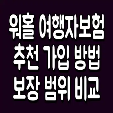 워홀 여행자보험 추천 가입 방법 보장 범위 비교